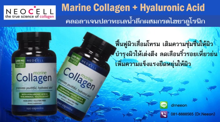 Collagen Fish